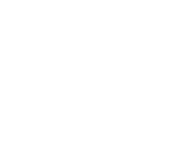 American Socks